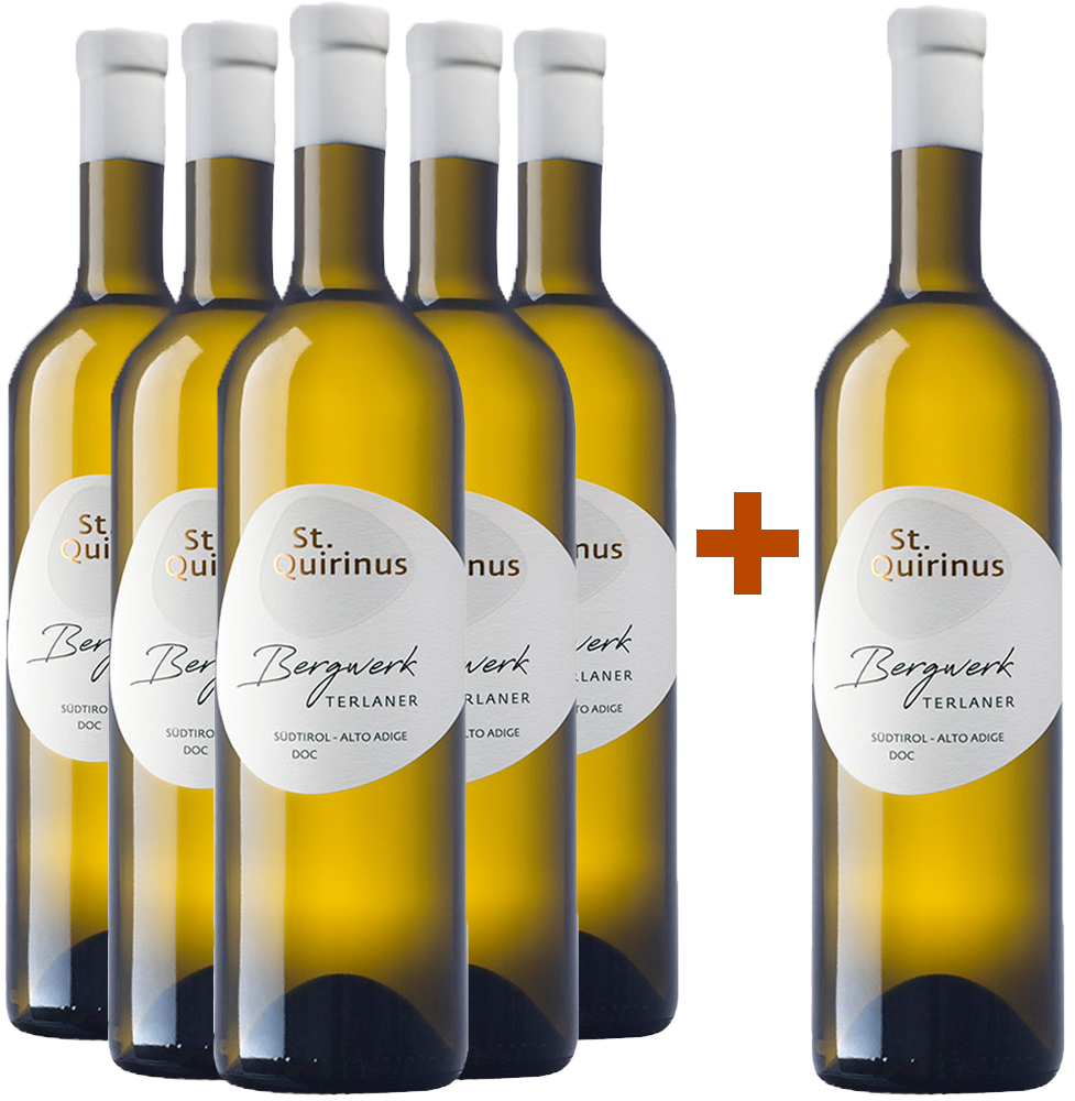 5+1 Paket Bergwerk Terlaner Classico Alto Adige DOC BIO