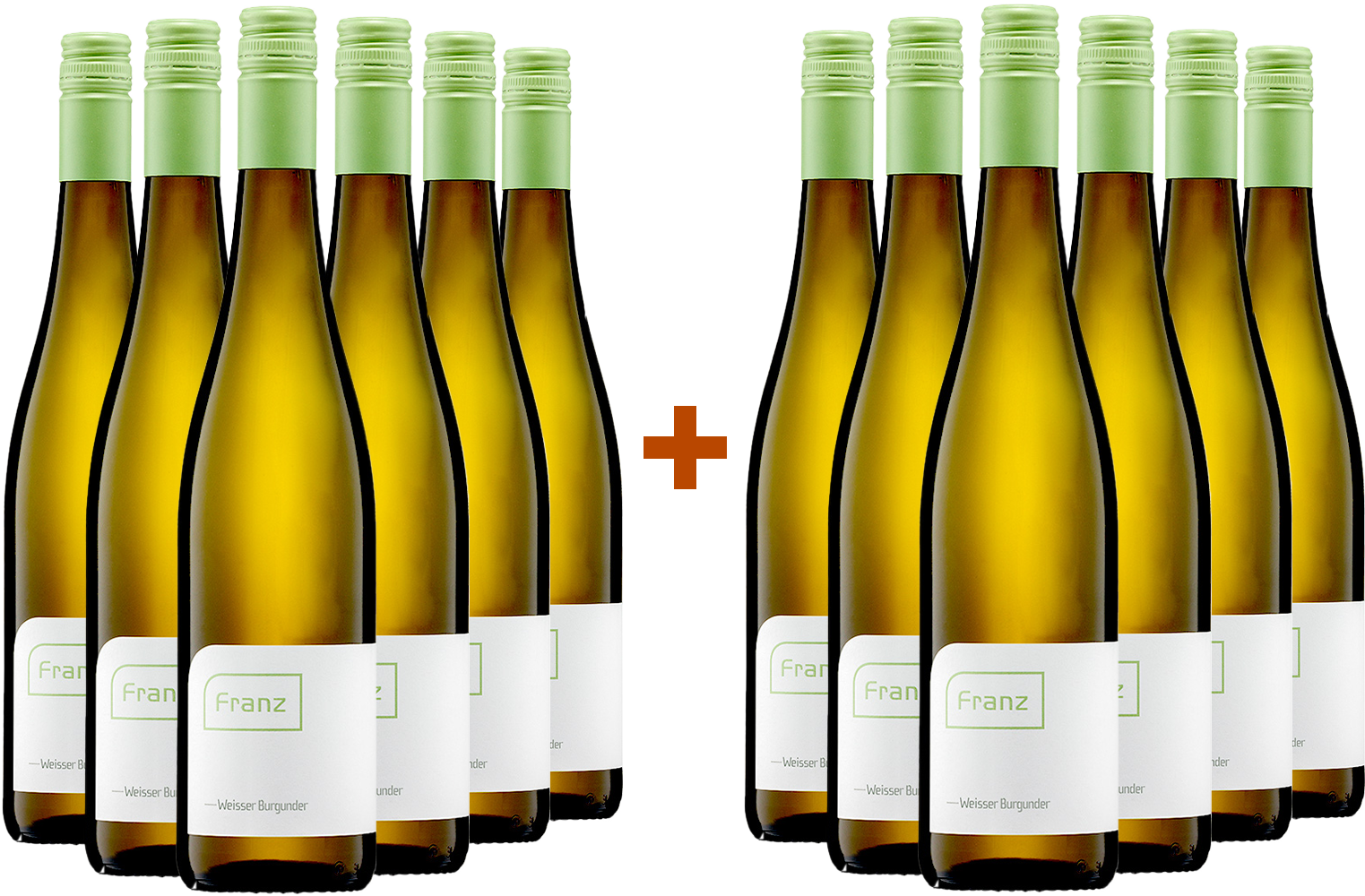 6 +6 Paket 2024 Weißburgunder trocken - Weingut Franz BIO