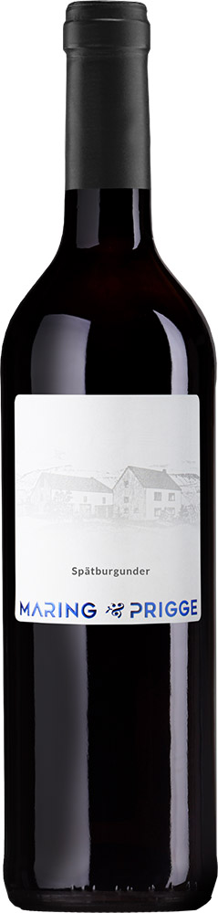 2023 Spätburgunder Rotwein