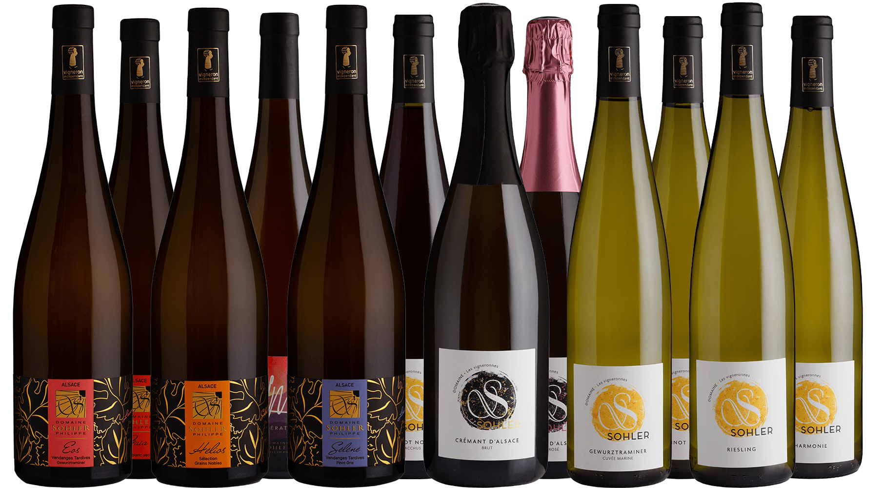 Großes Kennenlern-Paket BIO Großes Kennenlern-Paket BIO