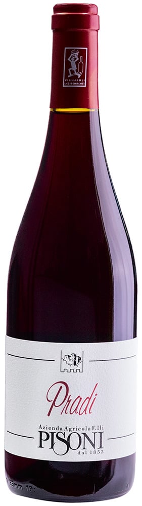 2023 Pradi Teroldego Vigneti delle Dolomiti IGP BIO