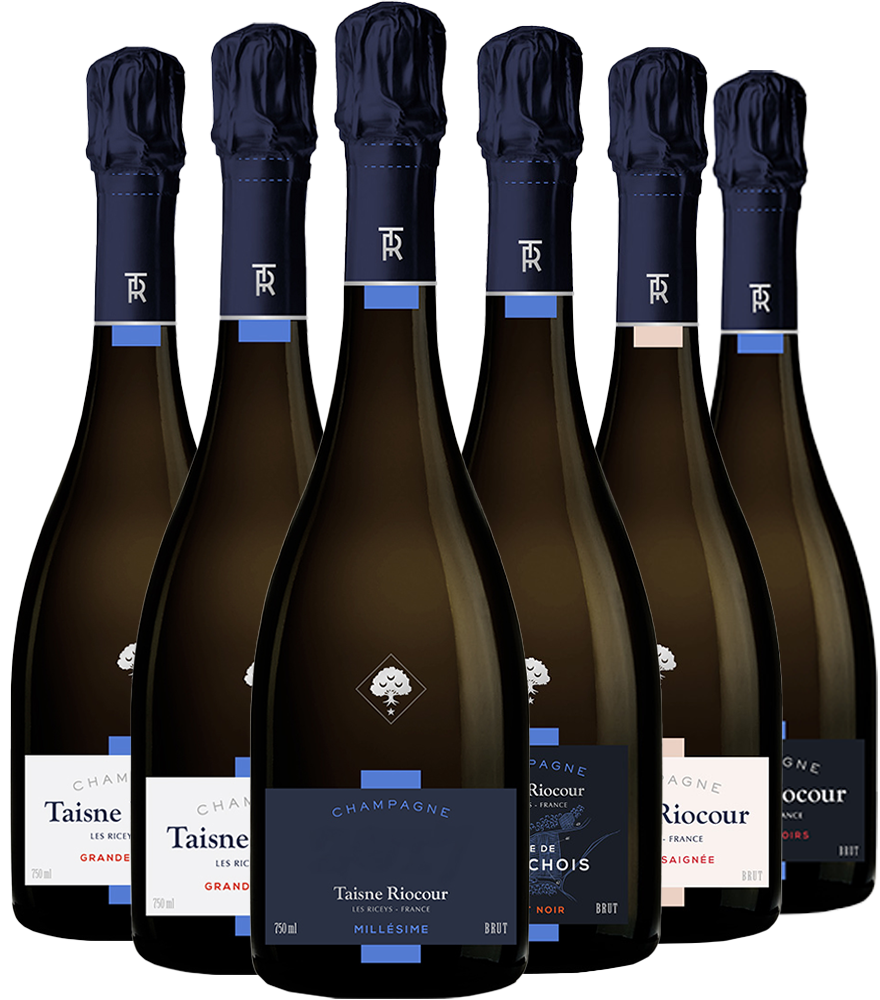 Champagne Taisne Riocour Kennenlernen-Paket