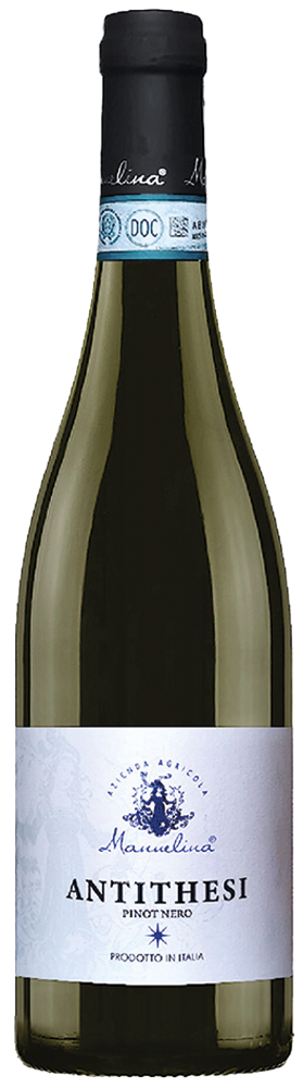 2024 Antithesi Pinot Nero Oltrepó Pavese DOC