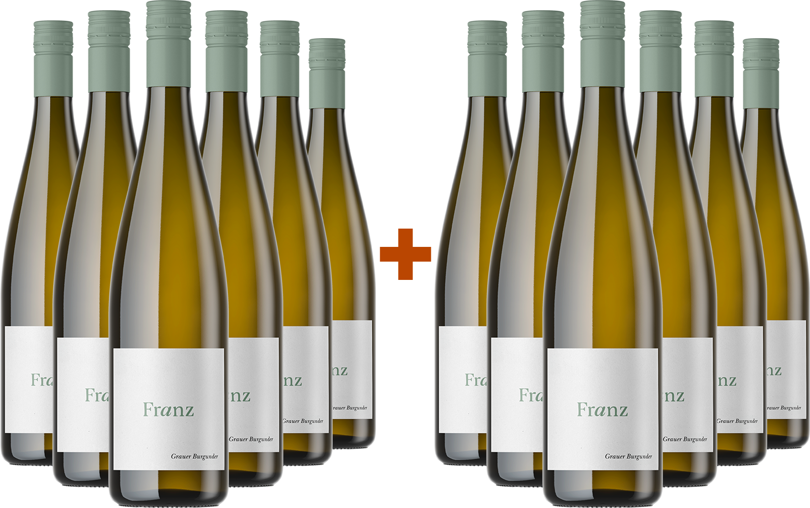 6+6 Paket Grauer-Burgunder BIO BIO
