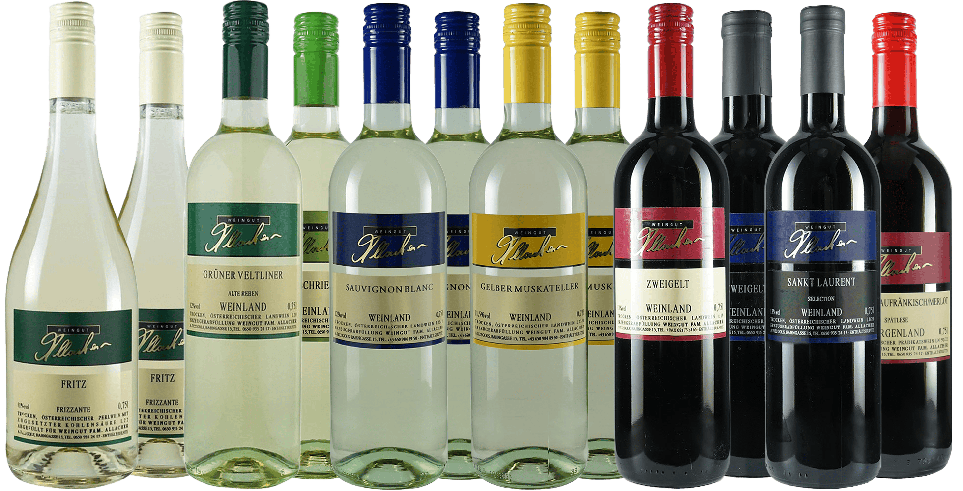 Kennenlernpaket gross Kennenlernpaket gross