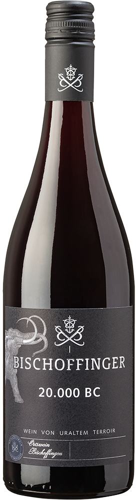 Bischoffinger 20.000 BC
