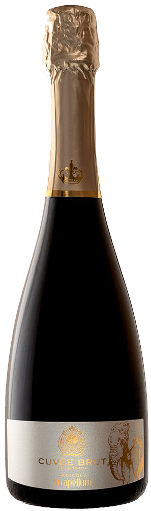 Spumante Cuvèe Millesimato Spumante Cuvèe Millesimato