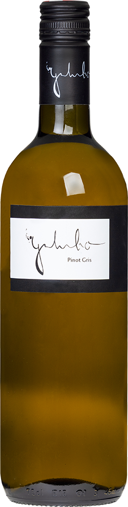 2024 Pinot Gris