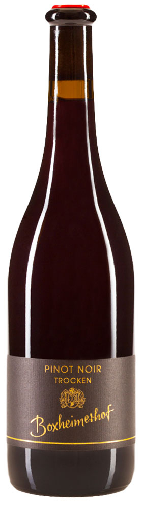 2021 Gundheimer Mandelbrunnen Pinot Noir