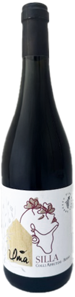 2021 Silla Super Rosso IGP, selected blend Montepulciano and Cabernet Sauvignon 2021 Silla Super Rosso IGP, selected blend Montepulciano and Cabernet Sauvignon