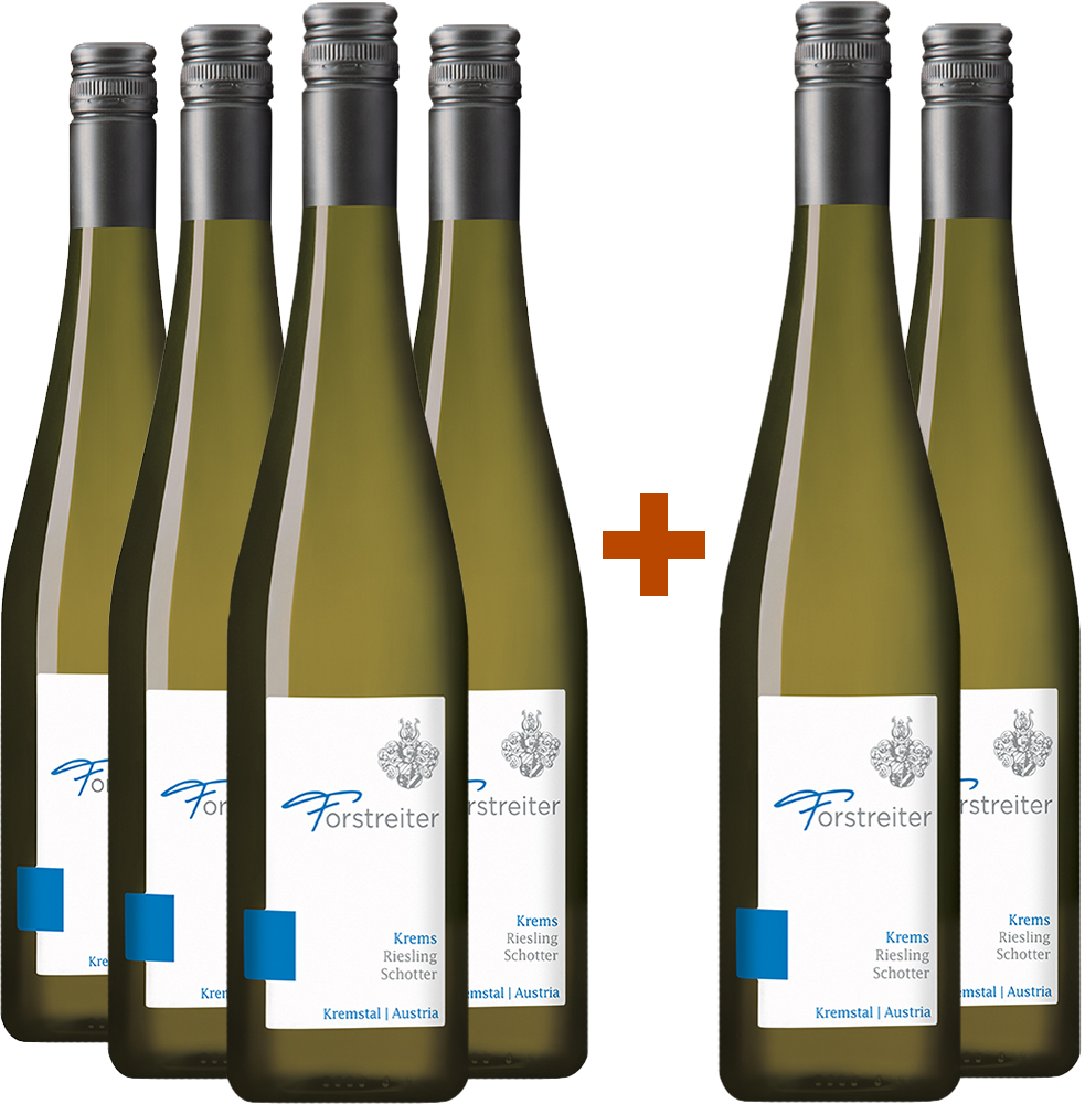 4+2 Paket Riesling Schotter Kremstal DAC