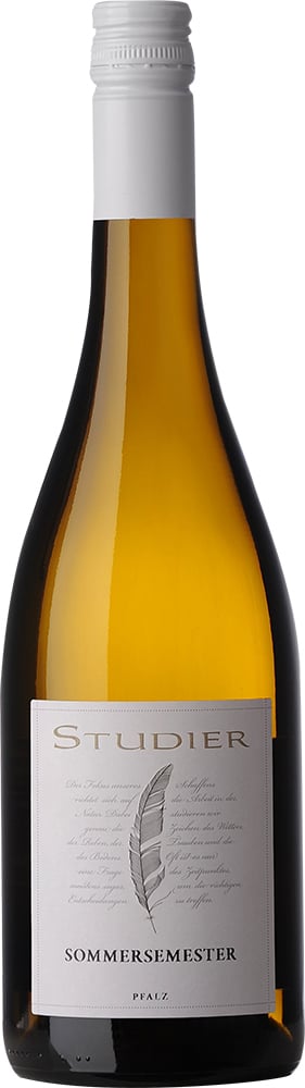 2024 SOMMERSEMESTER 2024 SOMMERSEMESTER