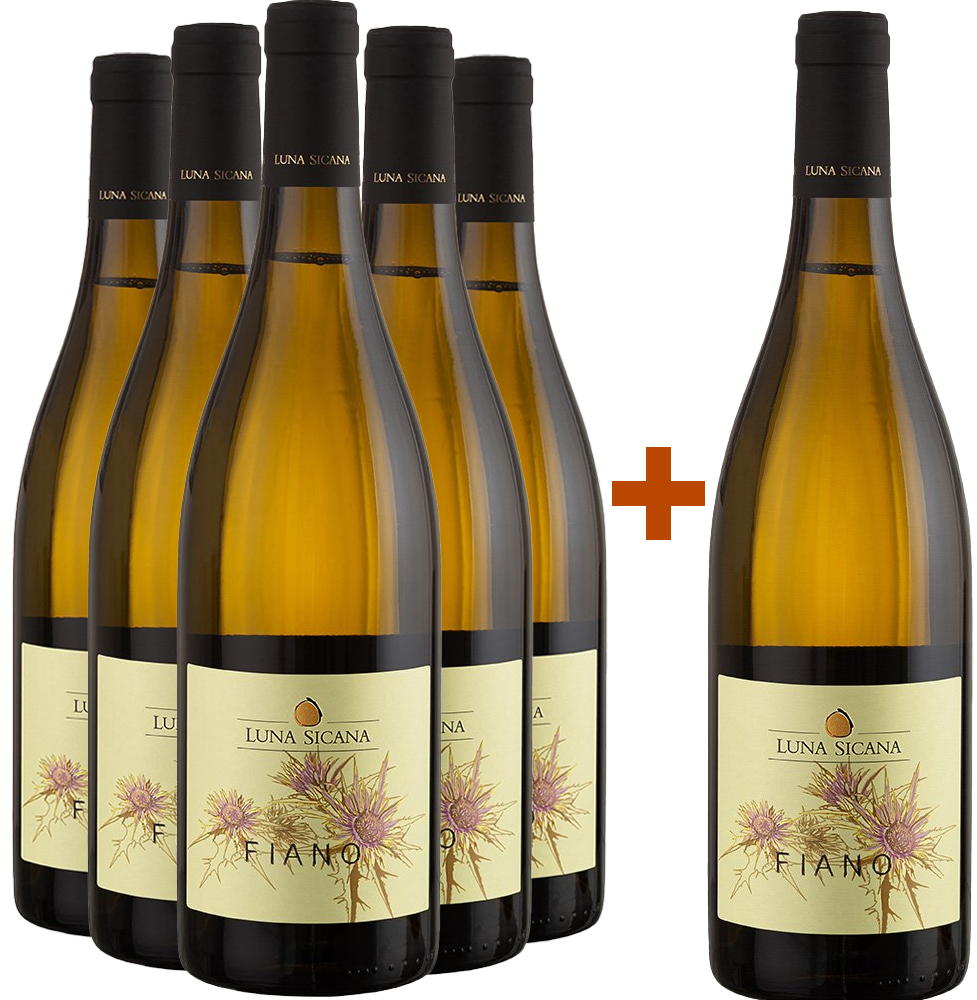 5+1 Paket Fiano Sicilia DOC BIO BIO 5+1 Paket Fiano Sicilia DOC BIO BIO