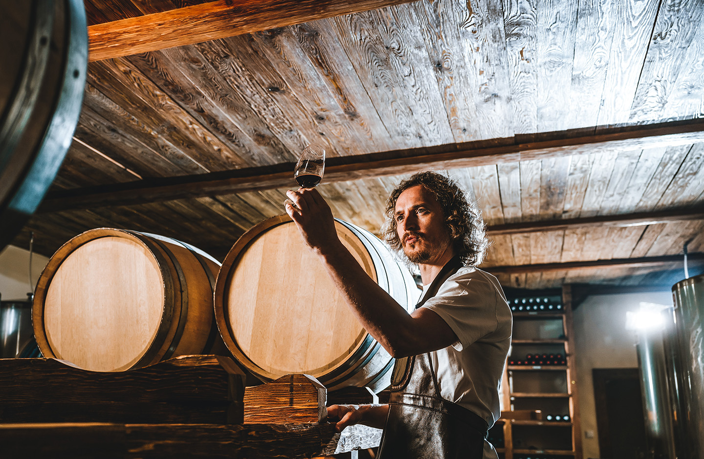 winemaker in the cellar winemaker in the cellar