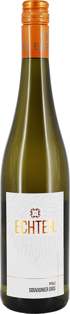 2025 Souvignier Gris