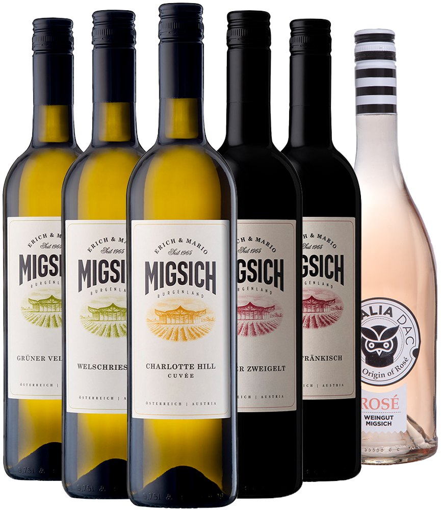 Migsich Kennenlern-Paket