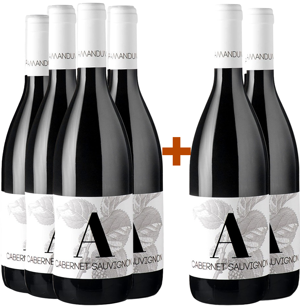 4+2 Paket Cabernet Sauvignon Friuli Isonzo DOC 4+2 Paket Cabernet Sauvignon Friuli Isonzo DOC