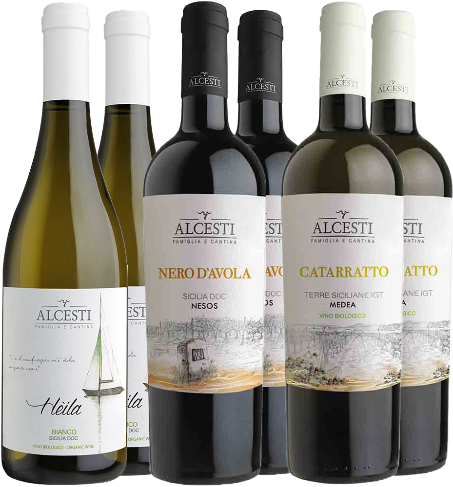 Alcesti Kennenlern-Paket