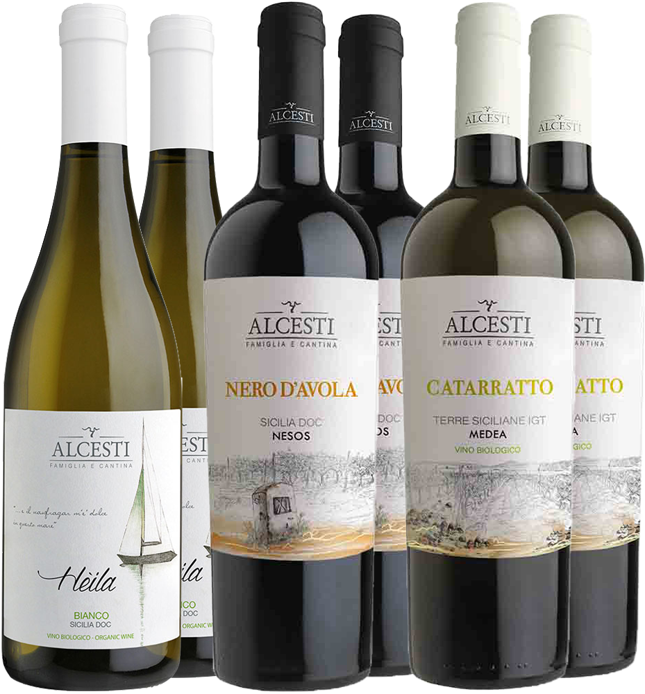 Alcesti Kennenlern-Paket Alcesti Kennenlern-Paket