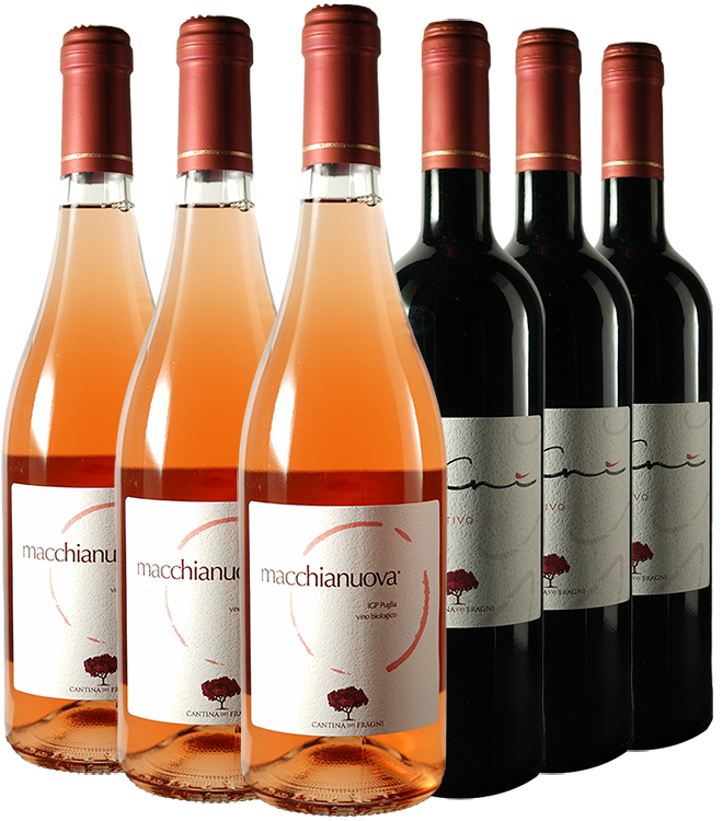 Cantina Dei Fragni Probier-Paket BIO Cantina Dei Fragni Probier-Paket BIO