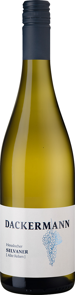 2025 HESSLOCHER SILVANER [Alte Reben] ORTSWEIN