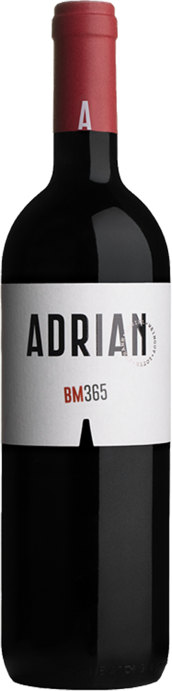 2022 BM365 2022 BM365