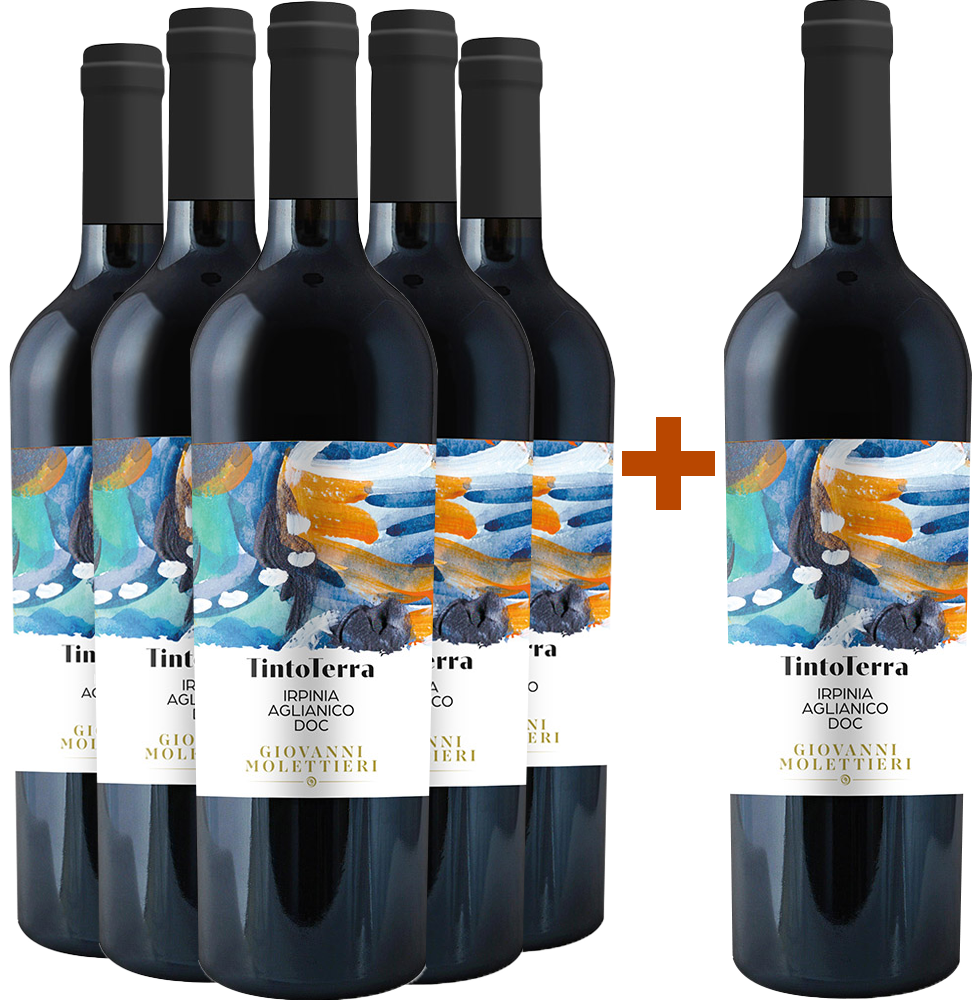 5+1 Paket Falanghina Campania IGP