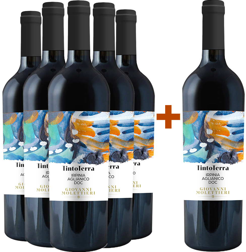 5+1 Paket Falanghina Campania IGP 5+1 Paket Falanghina Campania IGP