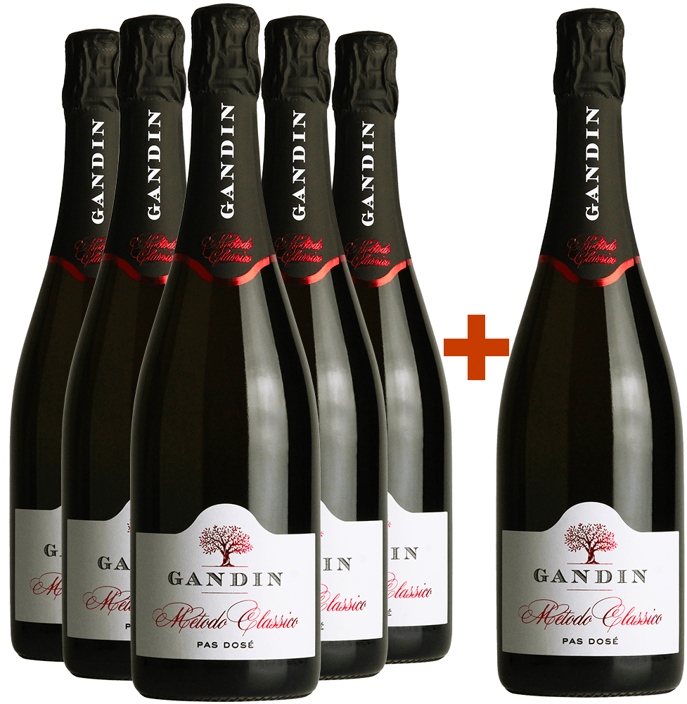 5+1 Paket Metodo Classico