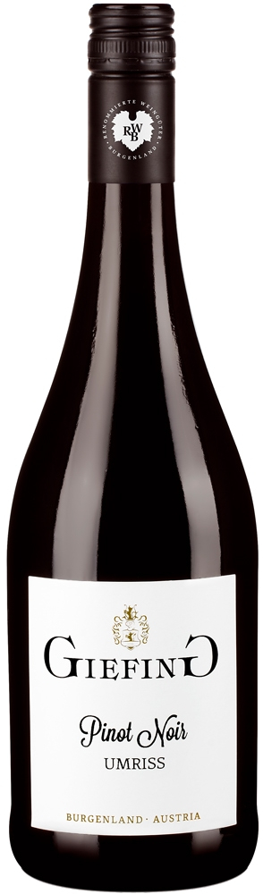 2019 Pinot Noir Ried Umriss