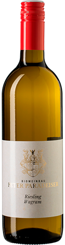 2023 Riesling BIO