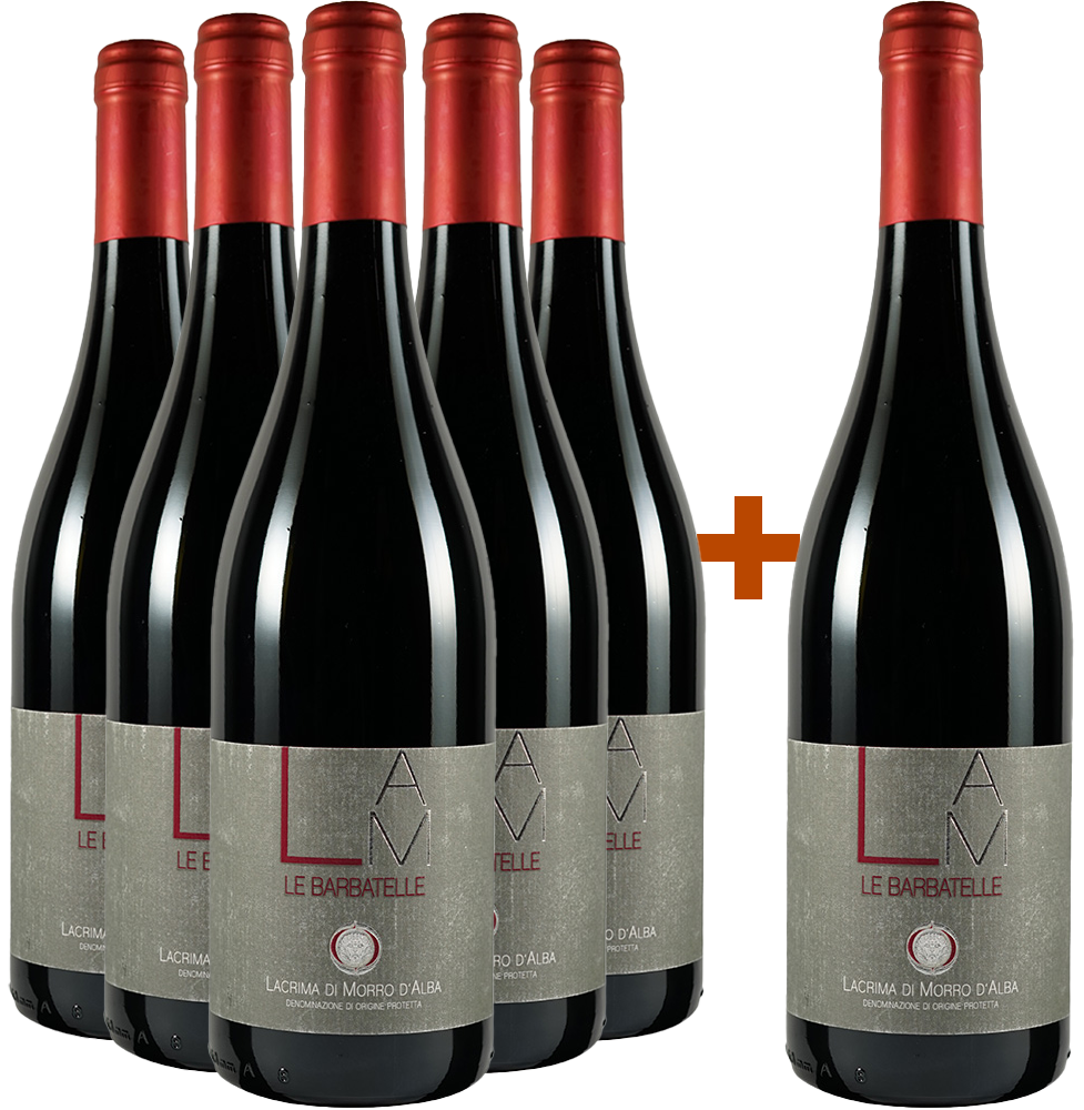 5+1 Paket Le Barbatelle Lacrima Morro D'alba DOC  5+1 Paket Le Barbatelle Lacrima Morro D'alba DOC