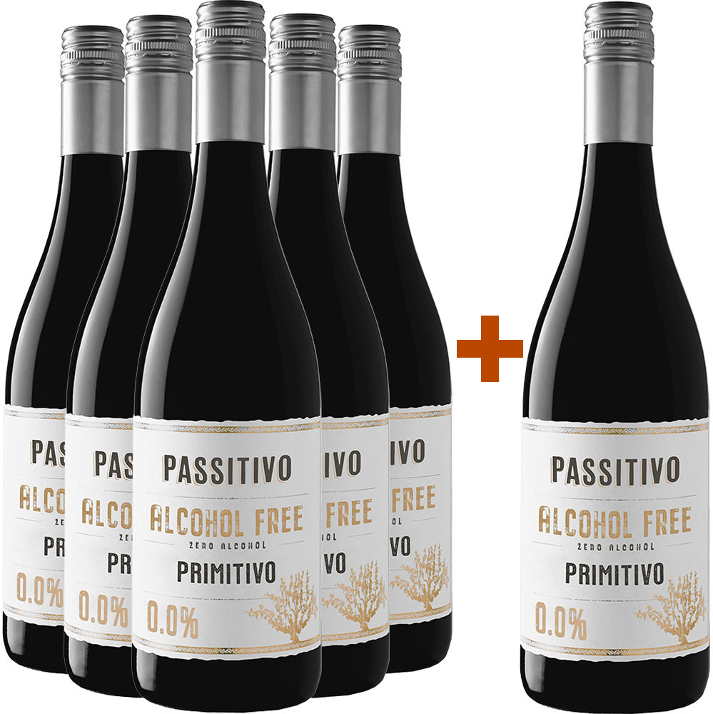 5+1 Paket Passitivo Primitivo Paket