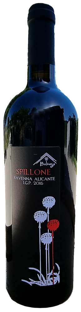2022 Spillone Ravenna IGP BIO 2022 Spillone Ravenna IGP BIO