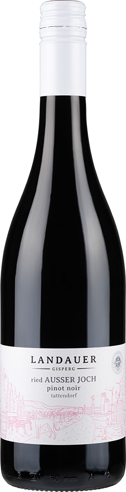 2021 PINOT NOIR Ried Ausser Joch Tattendorf BIO