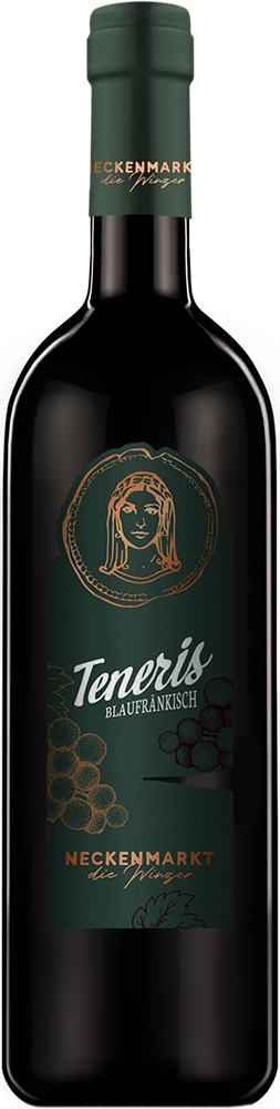 2023 TENERIS