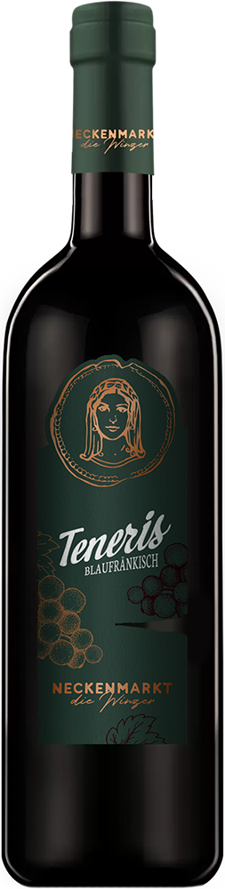 2023 TENERIS 2023 TENERIS