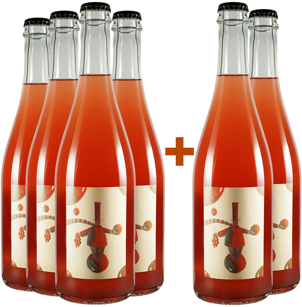 4+2 Paket Universi Paralleli 4+2 Paket Universi Paralleli