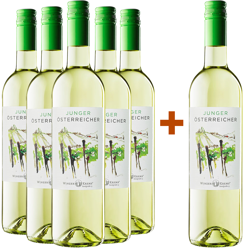 5+1 JUNGER ÖSTERREICHER trocken 5+1 JUNGER ÖSTERREICHER trocken