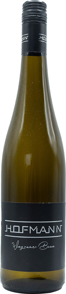 2023 Grüner Veltliner Wagramer Buam