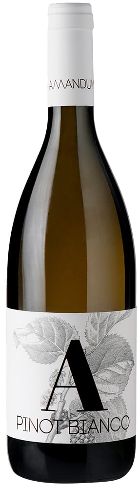 2018 Pinot Bianco Friuli Isonzo DOC 2018 Pinot Bianco Friuli Isonzo DOC