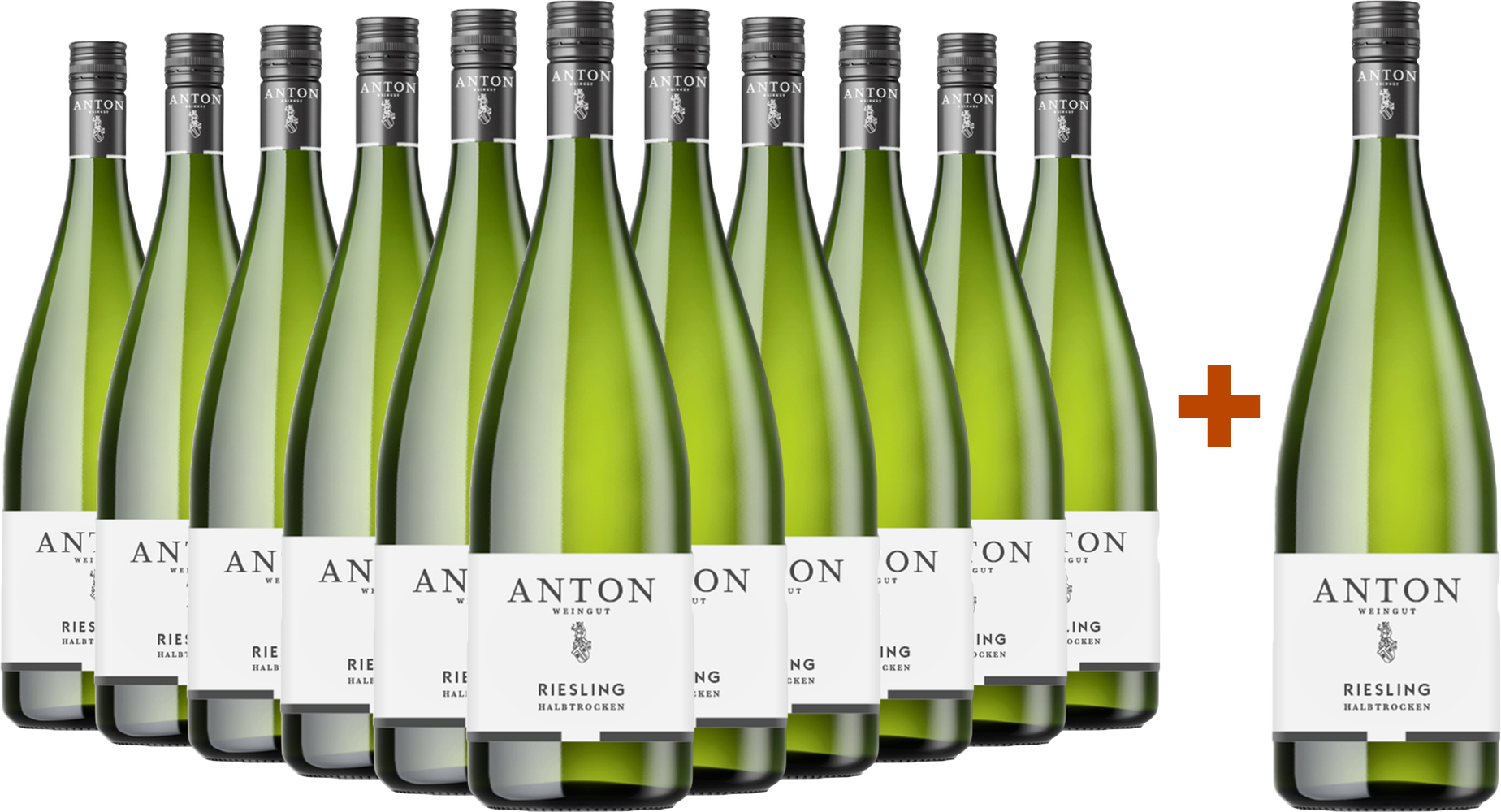11+1 Paket 2025 Riesling 1,0 L halbtrocken