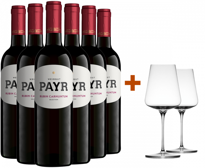 Zweigelt Rubin Carnuntum DAC ÖTW Gebietswein trocken Bio + 2 GRATIS Weingläser von UNO Glassworks Bio - Weingut Payr Zweigelt Rubin Carnuntum DAC ÖTW Gebietswein trocken Bio + 2 GRATIS Weingläser von UNO Glassworks Bio - Weingut Payr