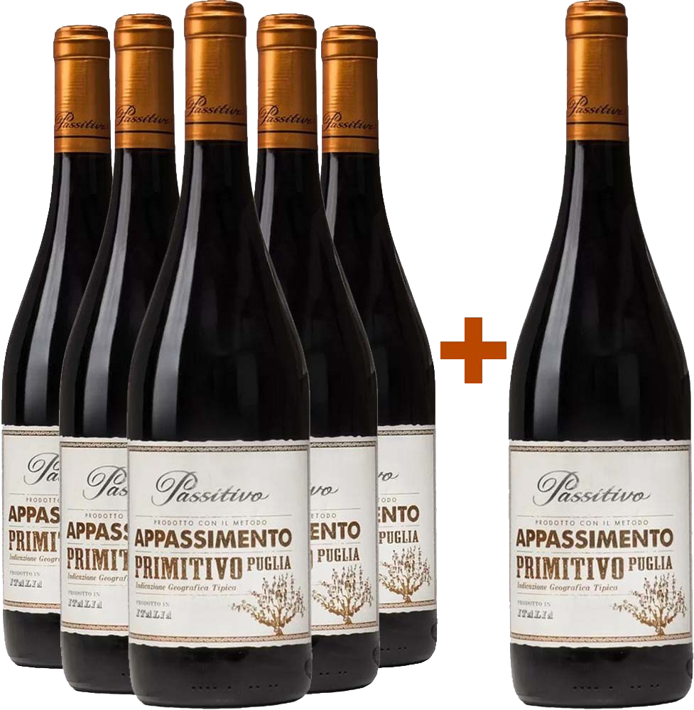 5+1 Paket Passitivo Appassimento Primitivo Puglia IGP