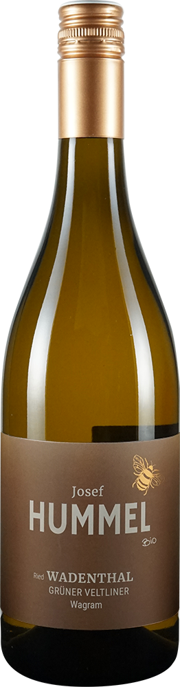 2024 Grüner Veltliner Ried Wadenthal BIO