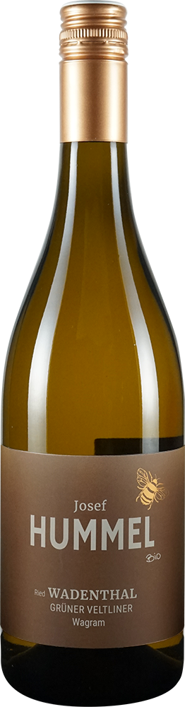 2024 Grüner Veltliner Ried Wadenthal BIO 2024 Grüner Veltliner Ried Wadenthal BIO
