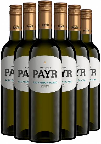 6er-Paket Sauvignon Blanc Selection ÖTW Gutswein BIO