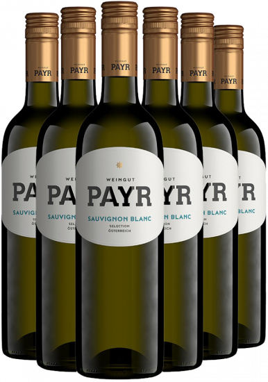 6er-Paket Sauvignon Blanc Selection ÖTW Gutswein BIO 6er-Paket Sauvignon Blanc Selection ÖTW Gutswein BIO