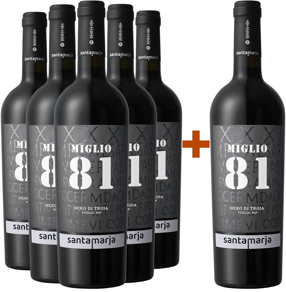 5+1 Miglio81 Nero di Troia Puglia IGP 5+1 Miglio81 Nero di Troia Puglia IGP