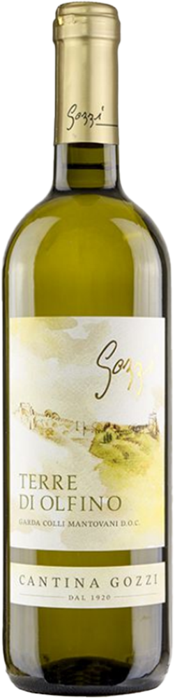 2023 Bianco Terre Di Olfino Garda Colli Mantovani DOC